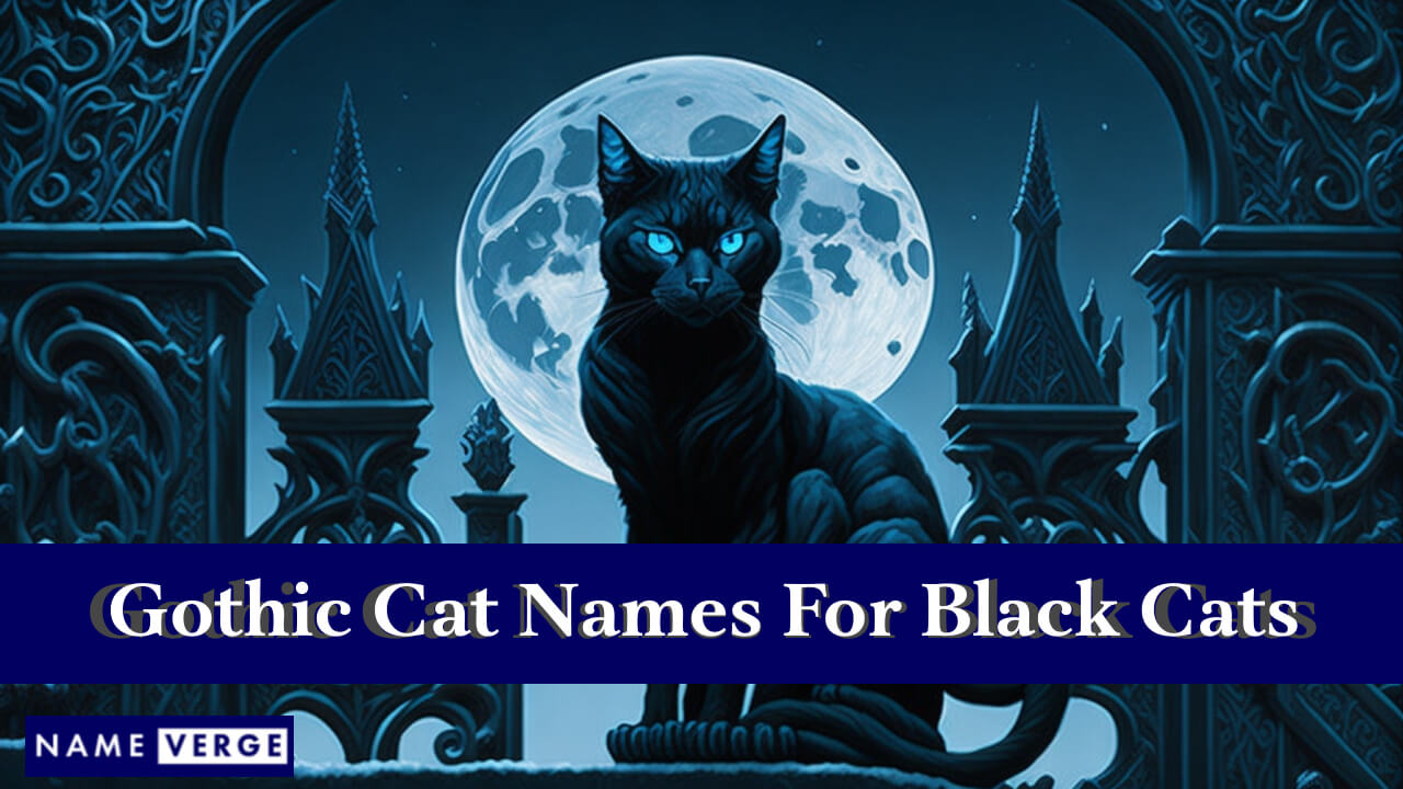 Gothic Cat Names For Black Cats