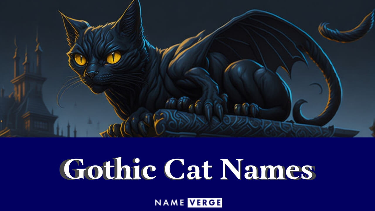 Gothic Cat Names: 353+ Unique Gothic Cat Names