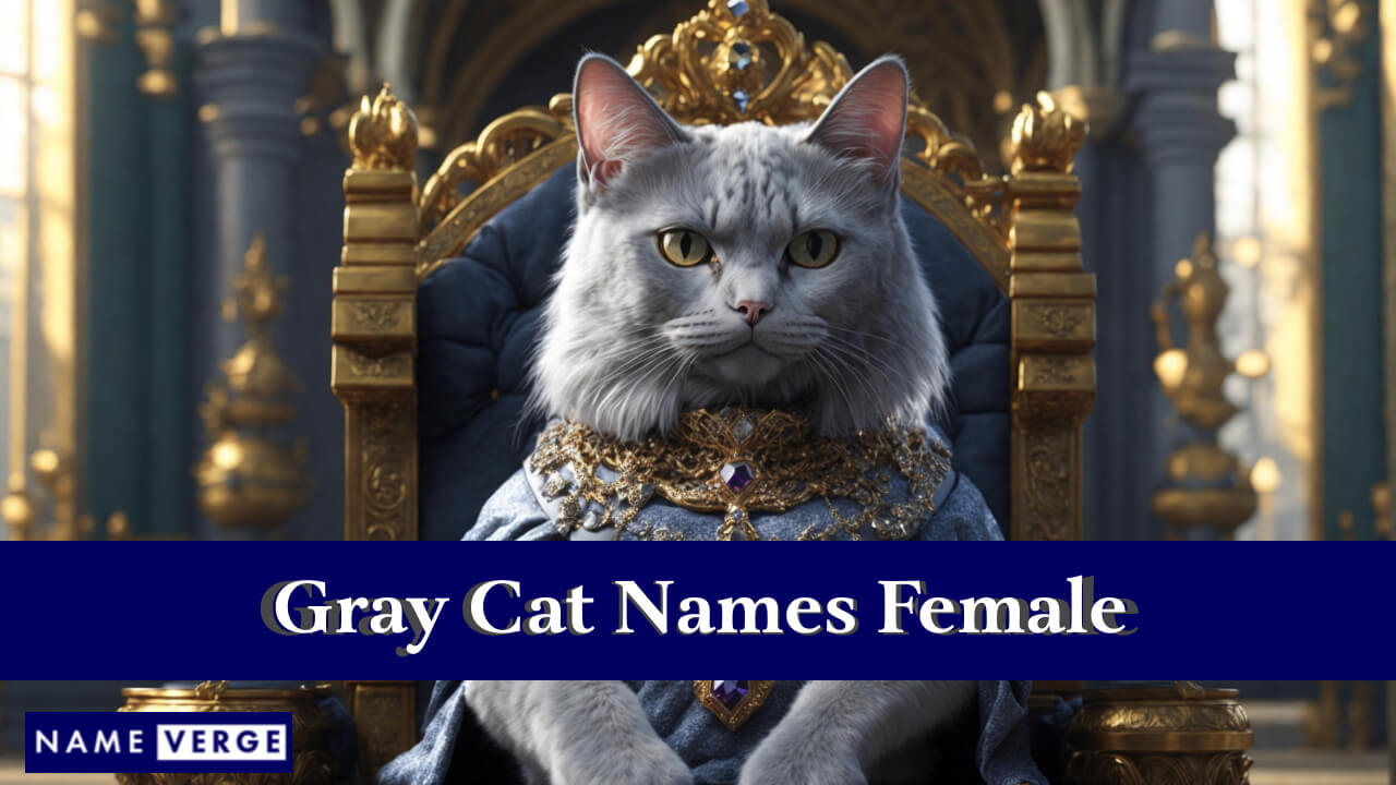Gray Cat Names Females