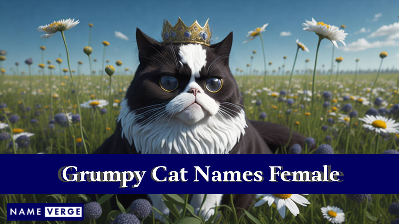 Grumpy Cat Names Female