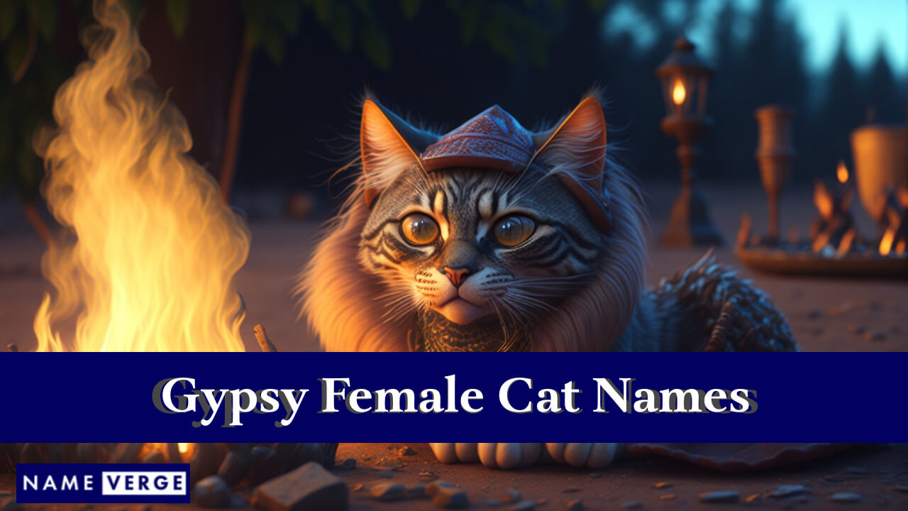 Gypsy Female Cat Names