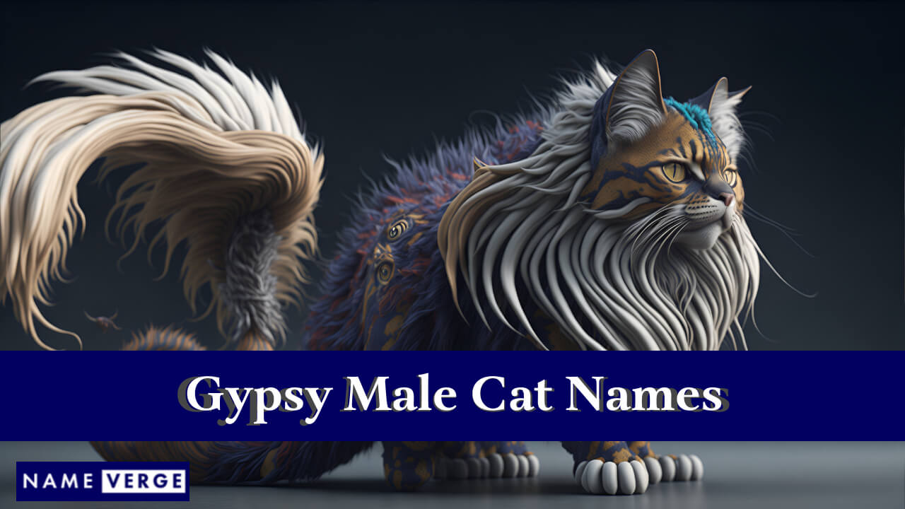 Gypsy Male Cat Names