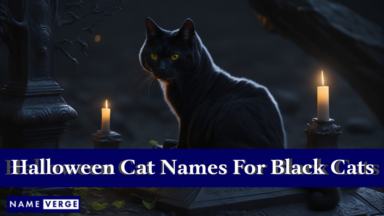 Halloween Cat Names For Black Cats