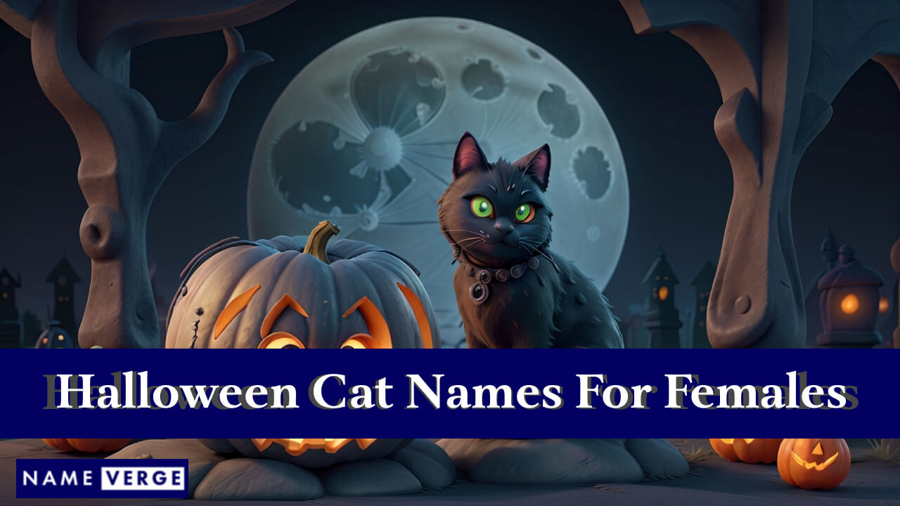Halloween Cat Names For Females