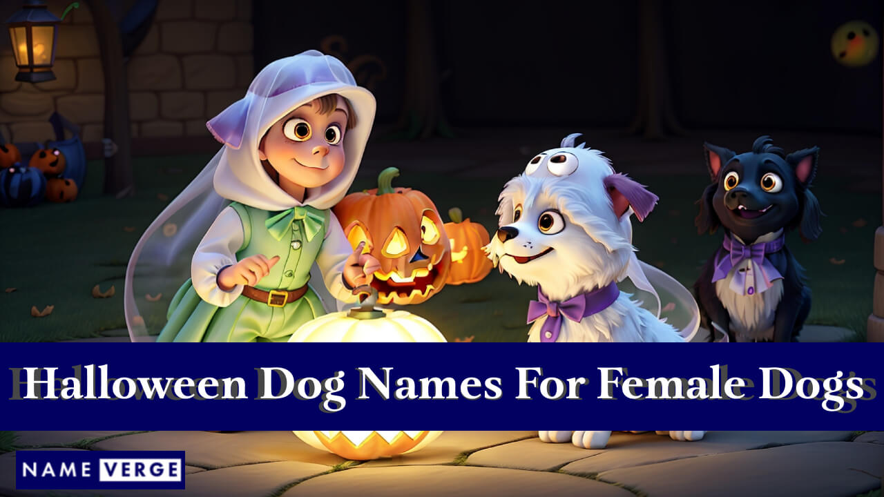 Halloween Dog Names For Females
