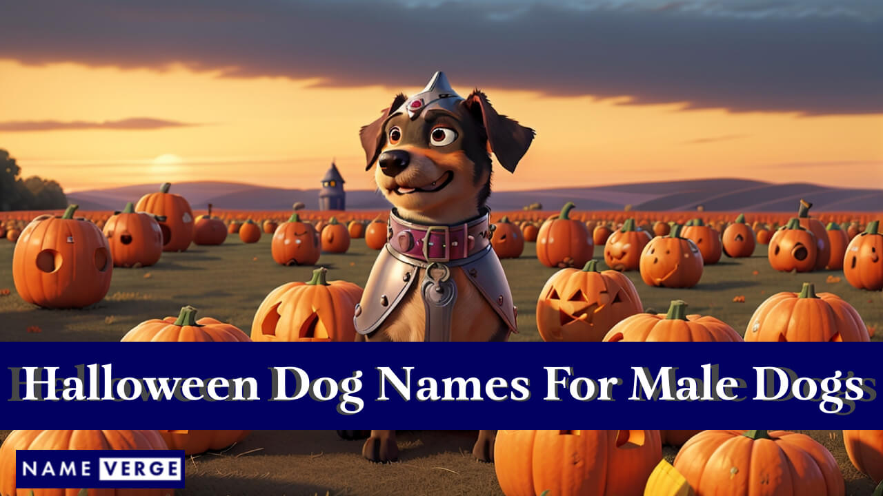Halloween Dog Names For Males