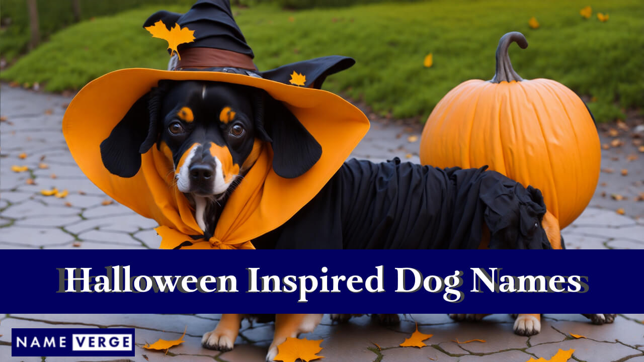 Halloween-Inspired Dog Names