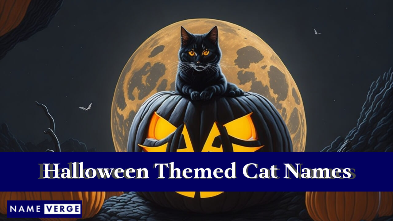 Halloween Themed Cat Names