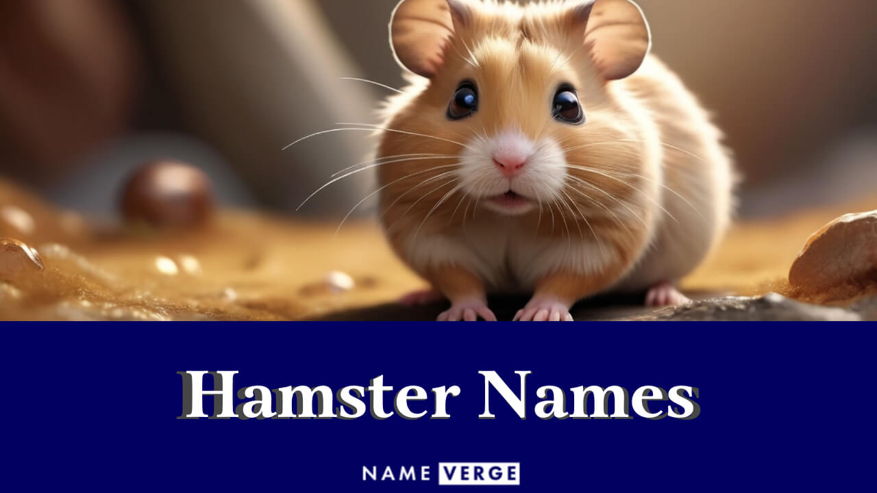 Hamster Names: 399+ Funny Name Ideas For Your Cute Pet