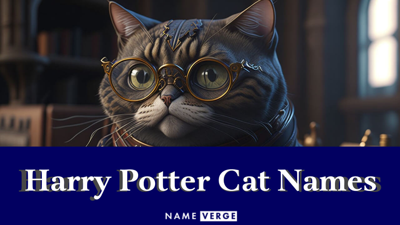 Harry Potter Cat Names: 232+ Harry Potter Inspired Cat Names