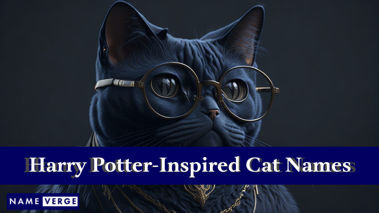 Harry Potter-Inspired Cat Names
