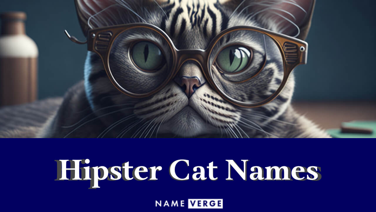 Hipster Cat Names: 233+ Funny Hipster Cat Name Ideas