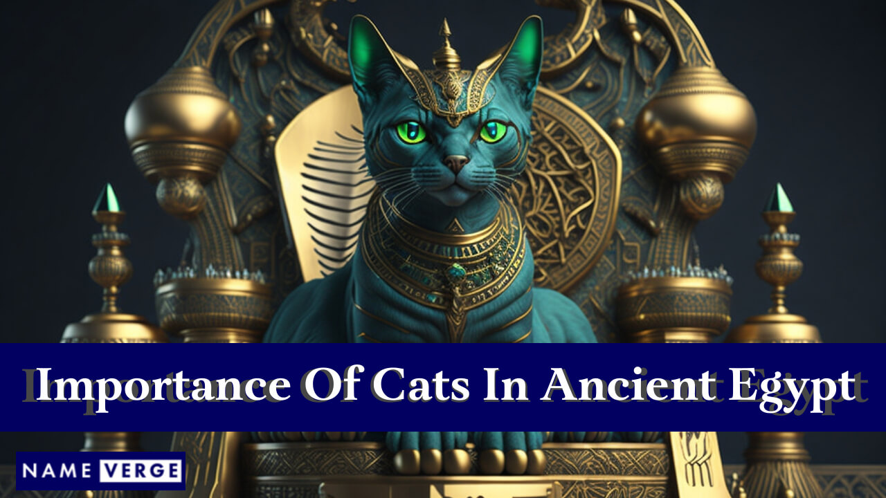 Historical Importance Of Cats In Ancient Egypt
