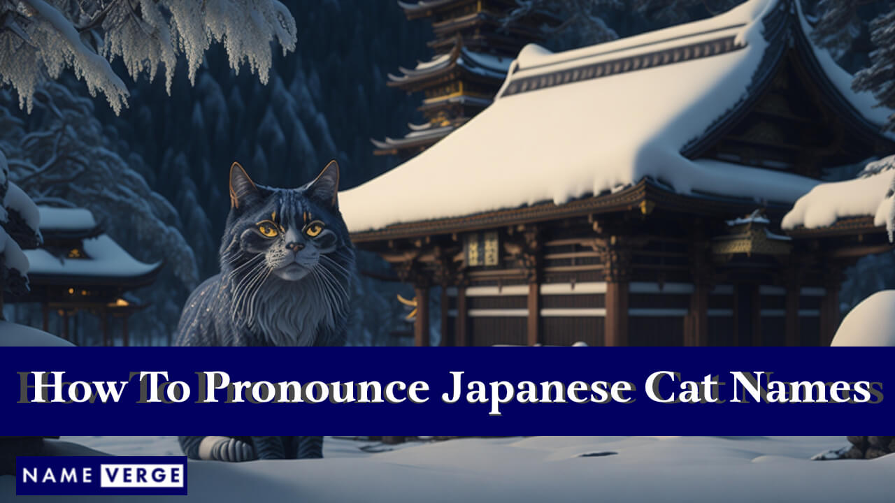 How To Pronounce Japanese Cat Names