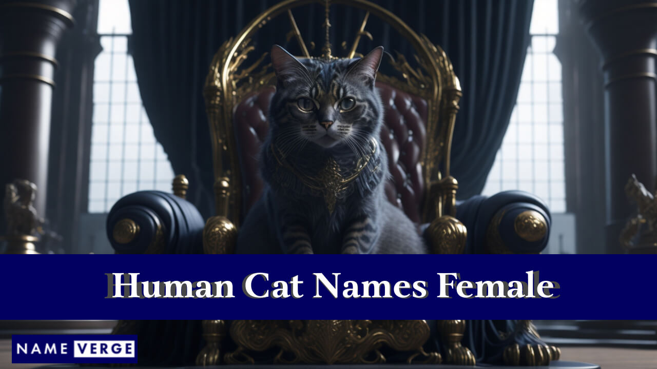 Human Cat Names Female
