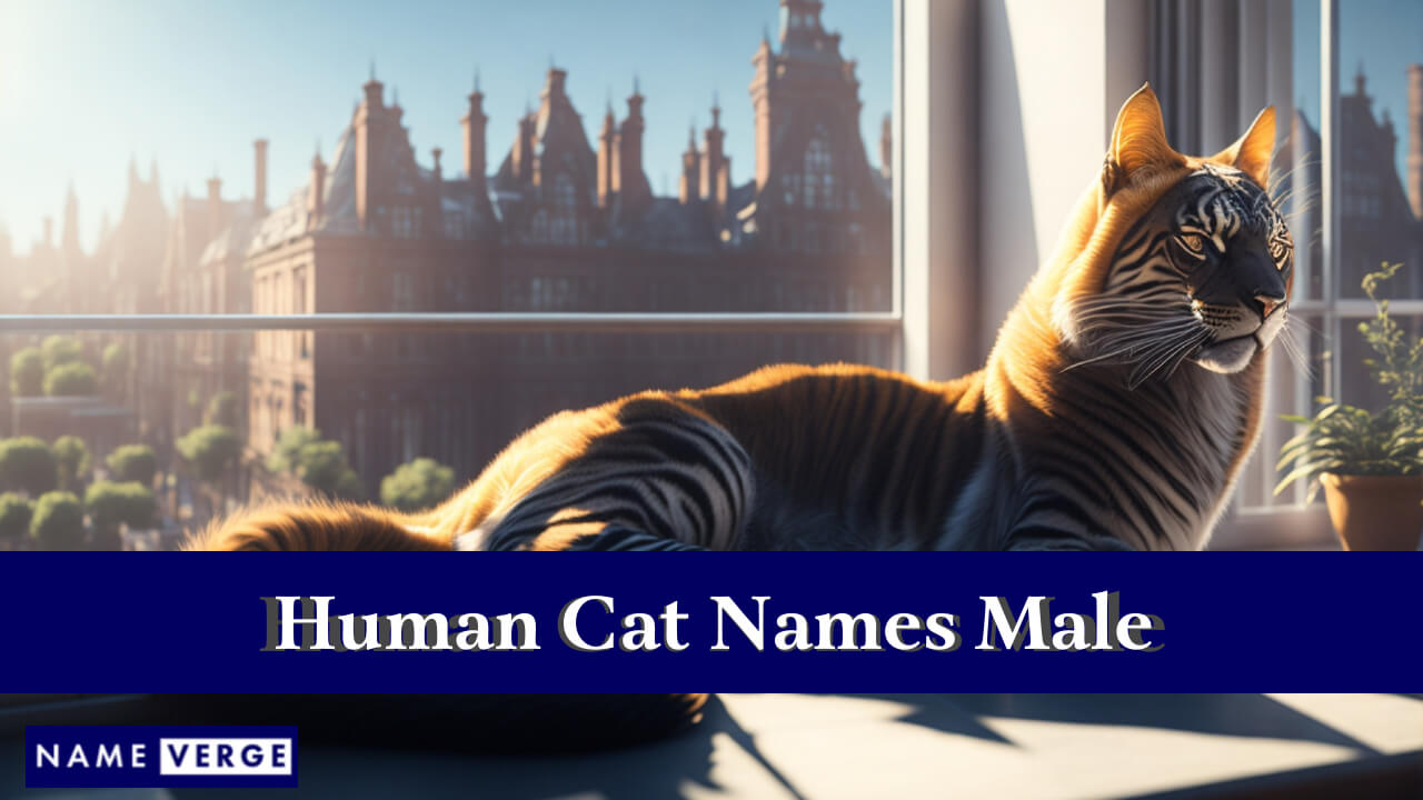 Human Cat Names Male