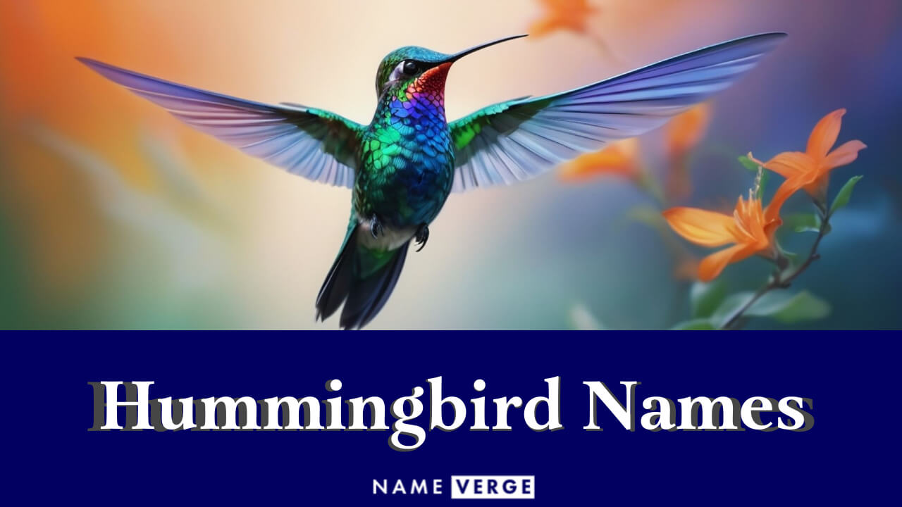 Hummingbird Names: 515+ Best Names For Cute Buzz Birds
