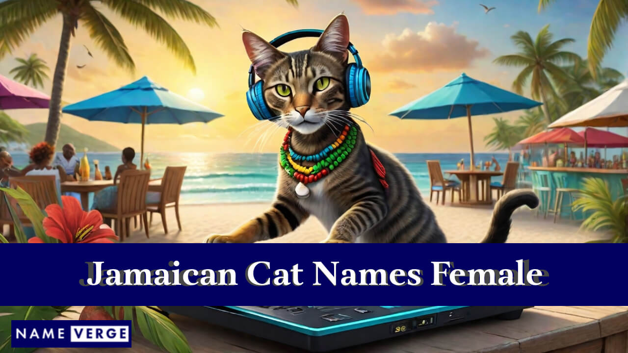 Jamaican Cat Names Female
