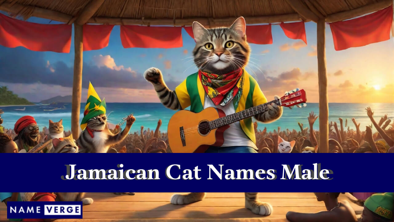 Jamaican Cat Names Male