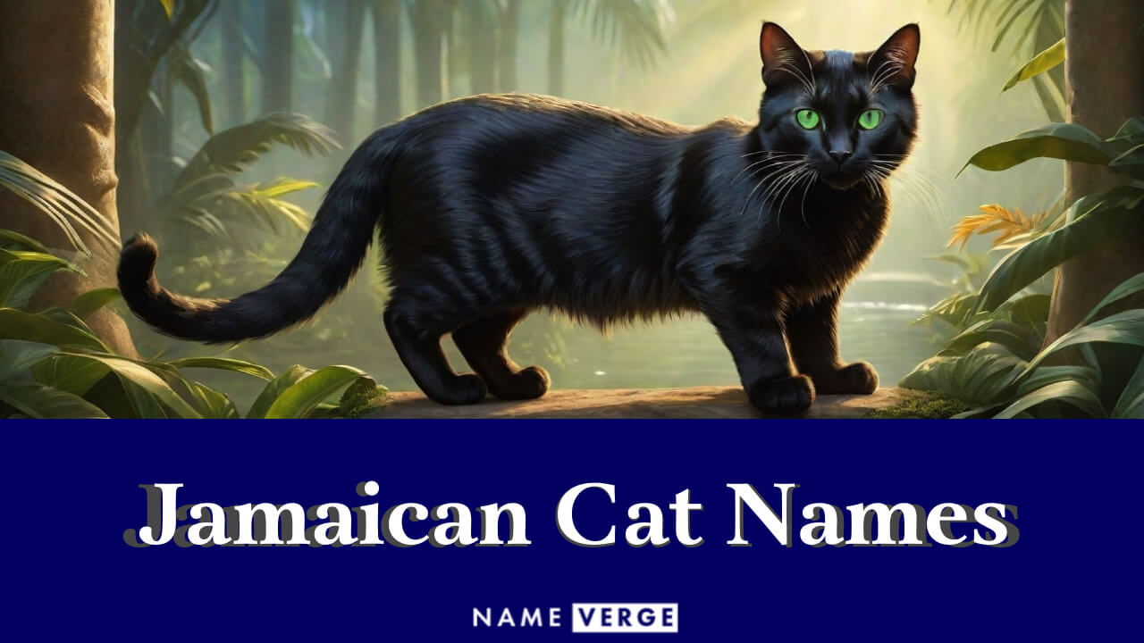 Jamaican Cat Names: 330+ Funny Cat Names From Jamaica