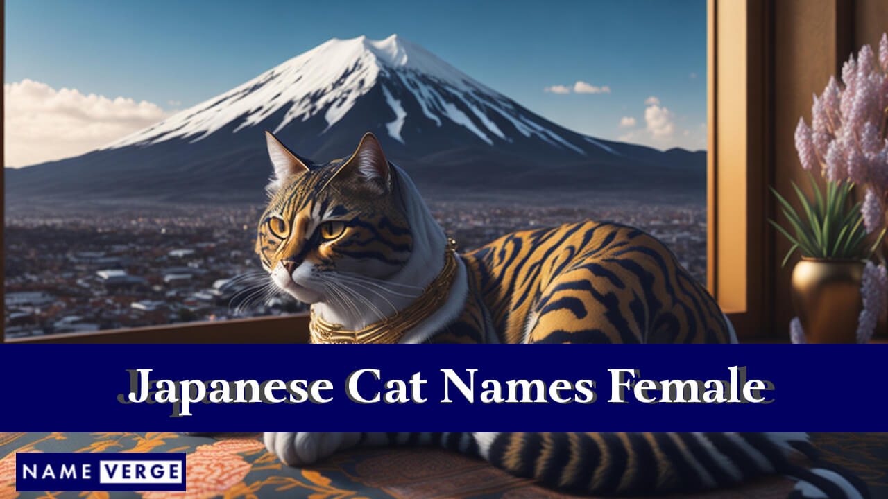 Japanese Cat Names Female