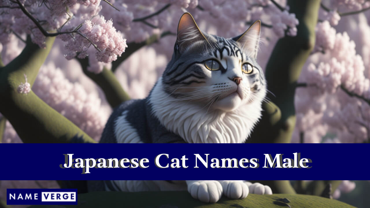 Japanese Cat Names Male