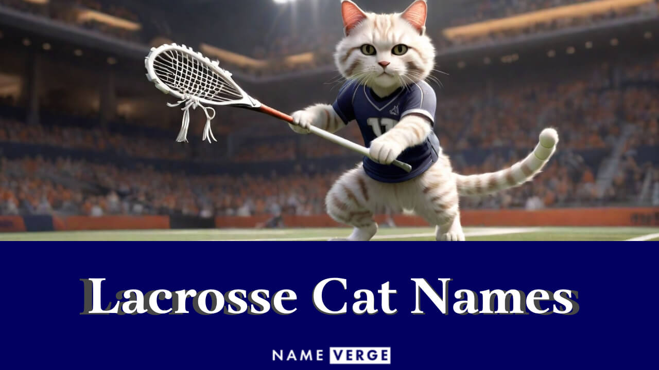 Lacrosse Cat Names: 202+ Best Lacrosse-Inspired Name Ideas