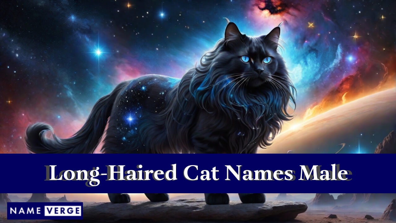 Long-Haired Cat Names Male