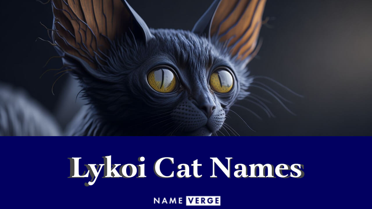 Lykoi Cat Names: 171+ Best Names For Lykoi Cat Breed