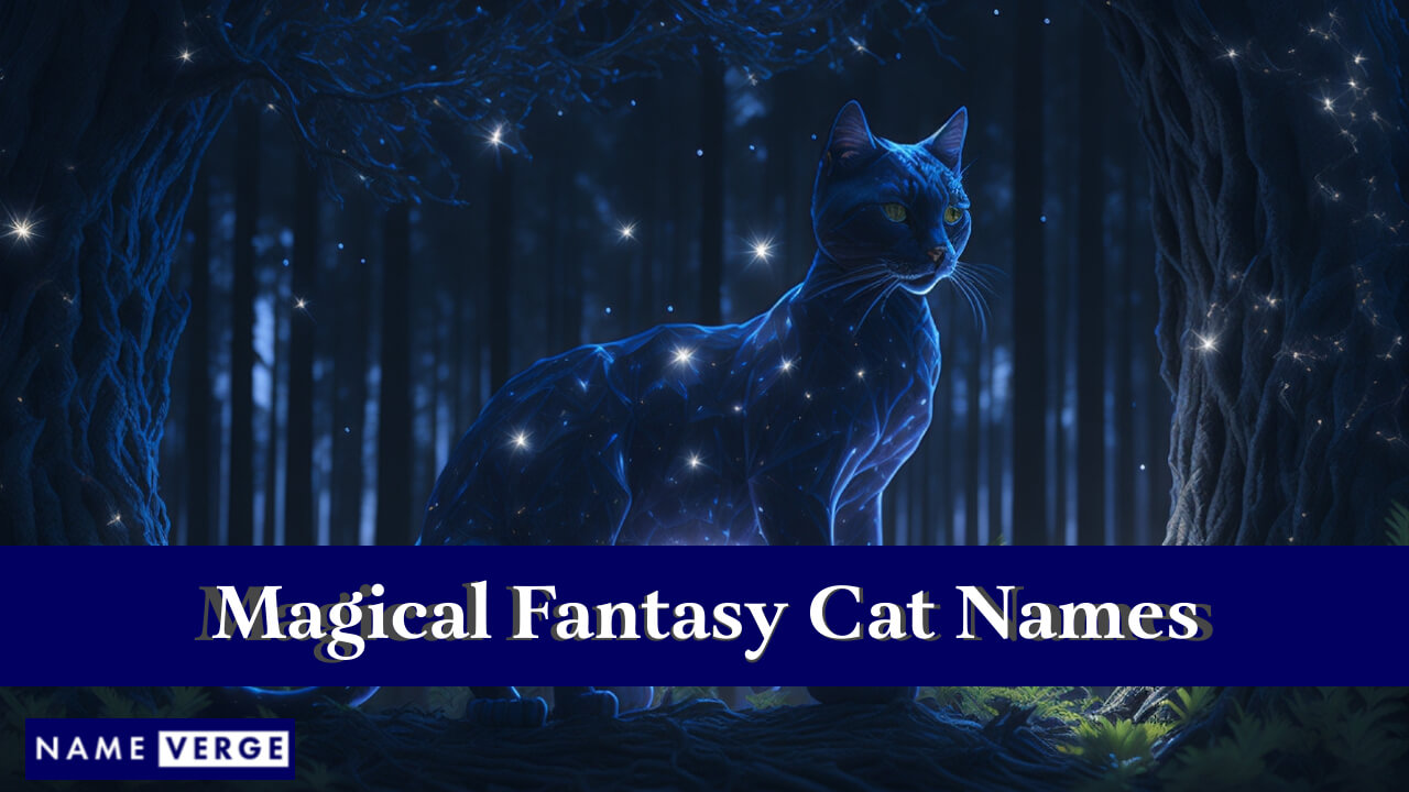 Magical Fantasy Cat Names