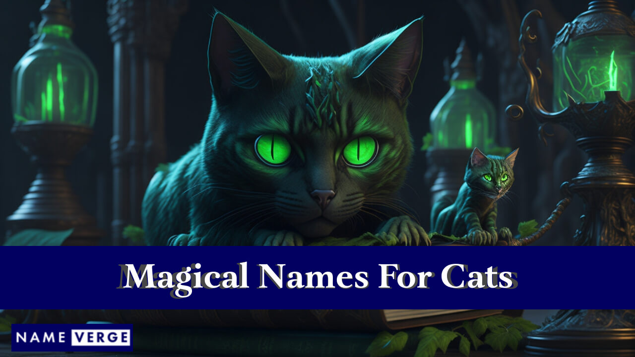 Magical Names For Cats