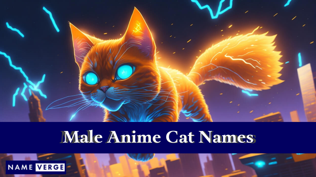 Male Anime Cat Names