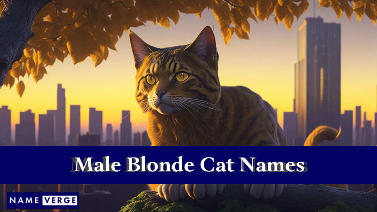 Male Blonde Cat Names