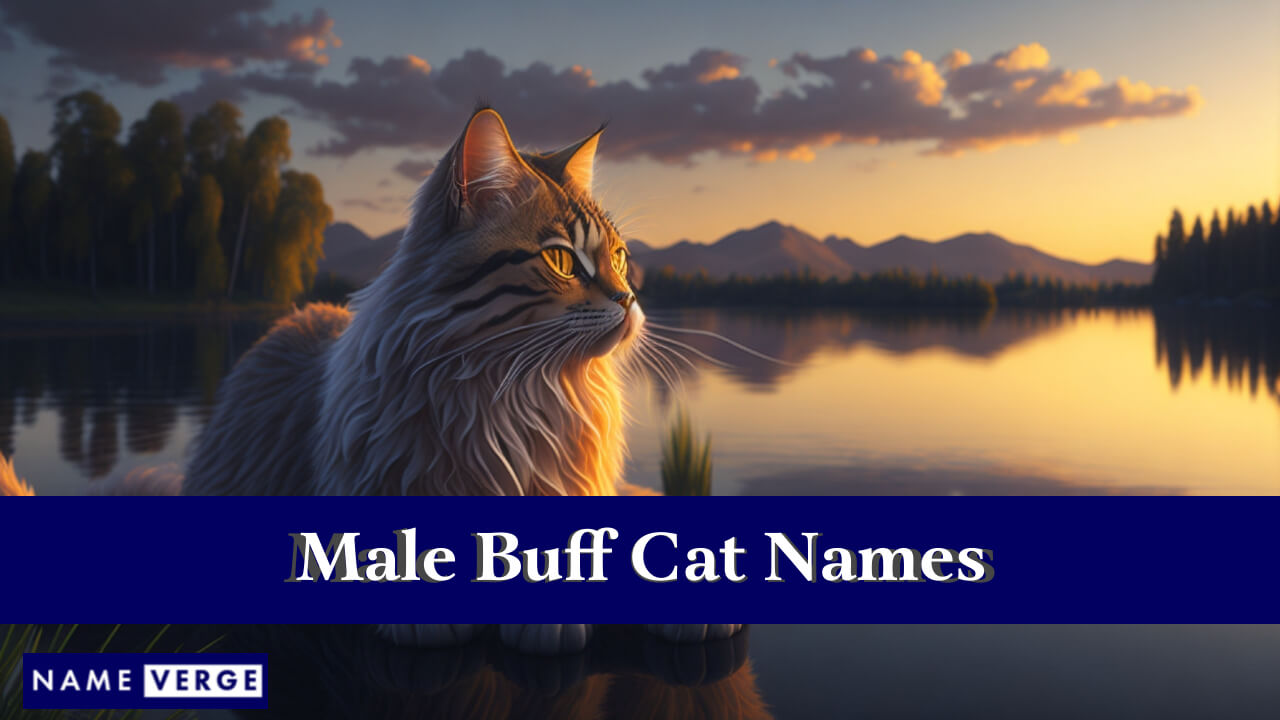 Male Buff Cat Names
