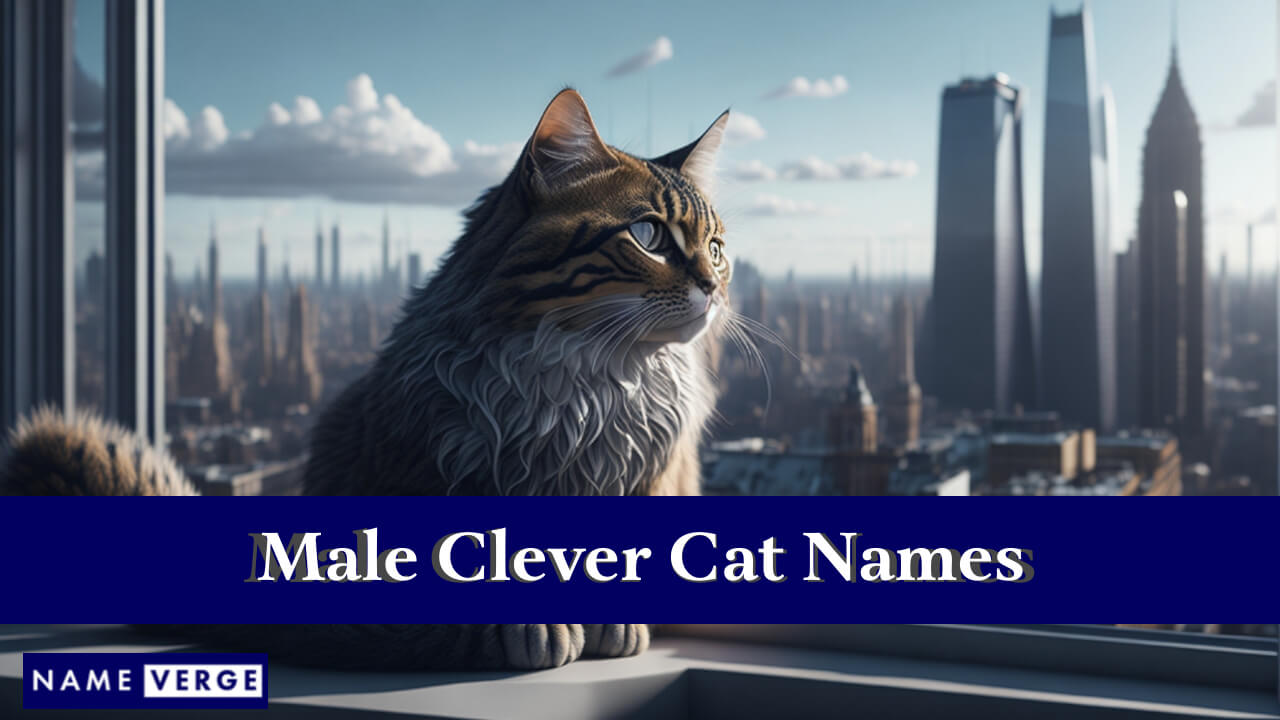 Male Clever Cat Names