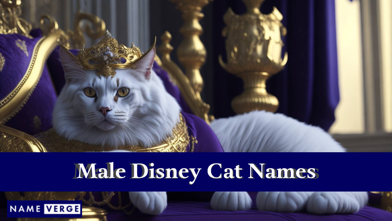 Male Disney Cat Names
