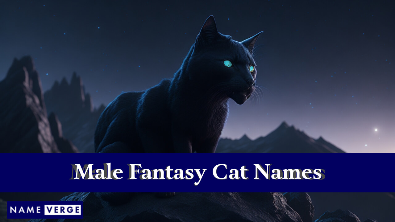 Fantasy Cat Names Males