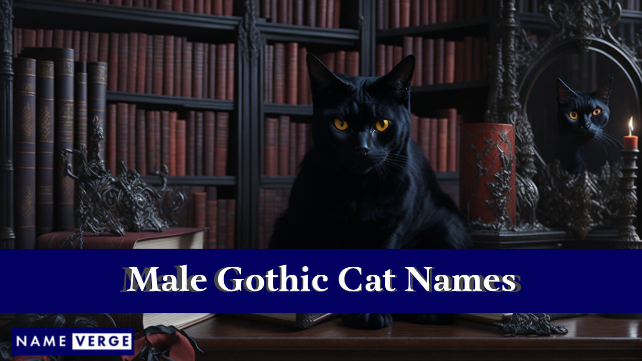Male Gothic Cat Names