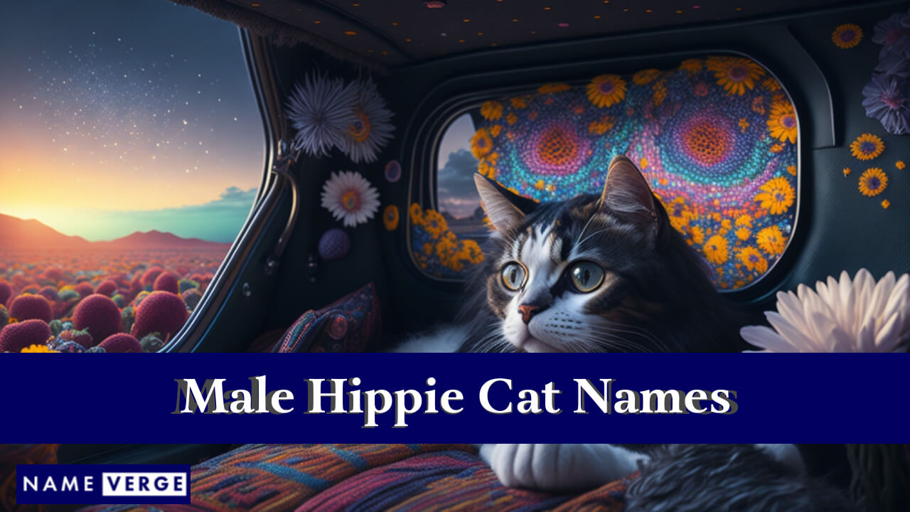 Male Hippie Cat Names