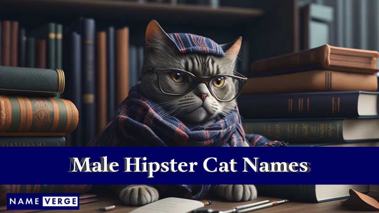 Male Hipster Cat Names