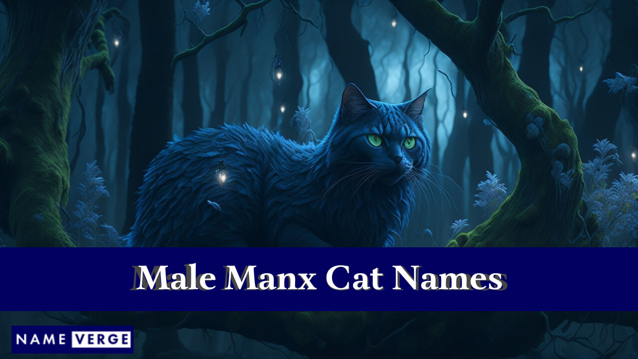 Manx Cat Names Male