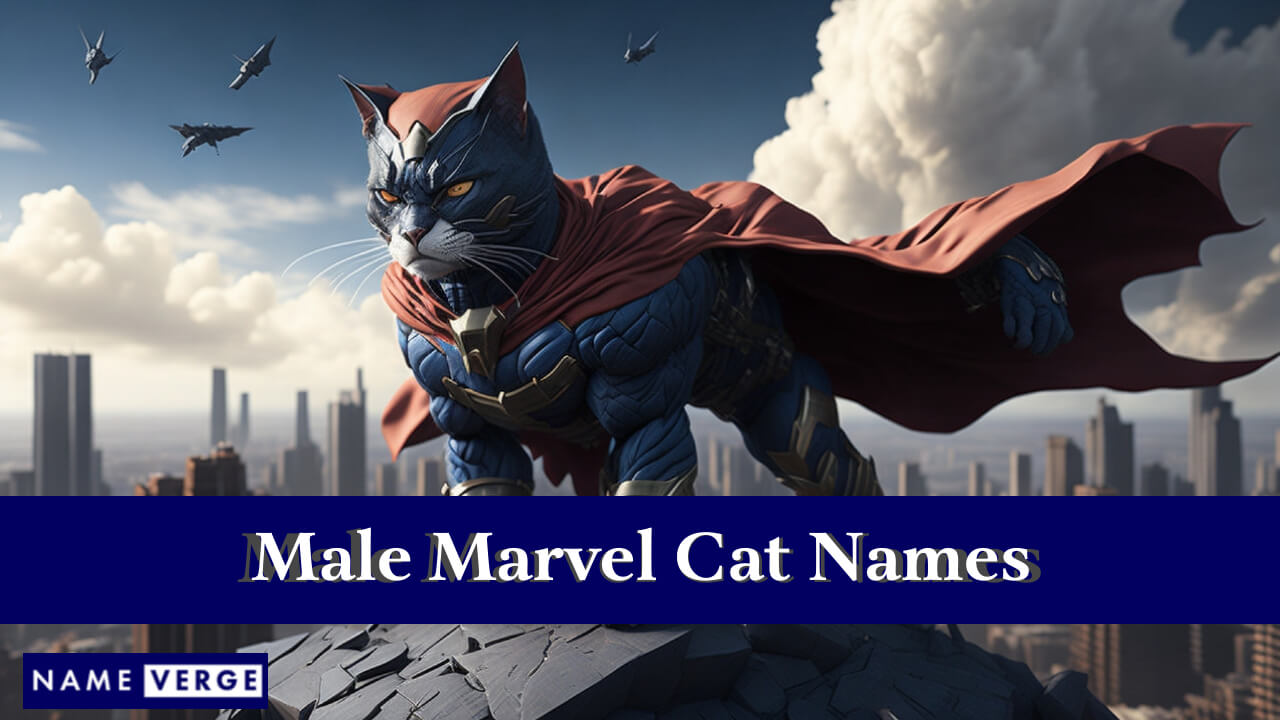 Male Marvel Cat Names