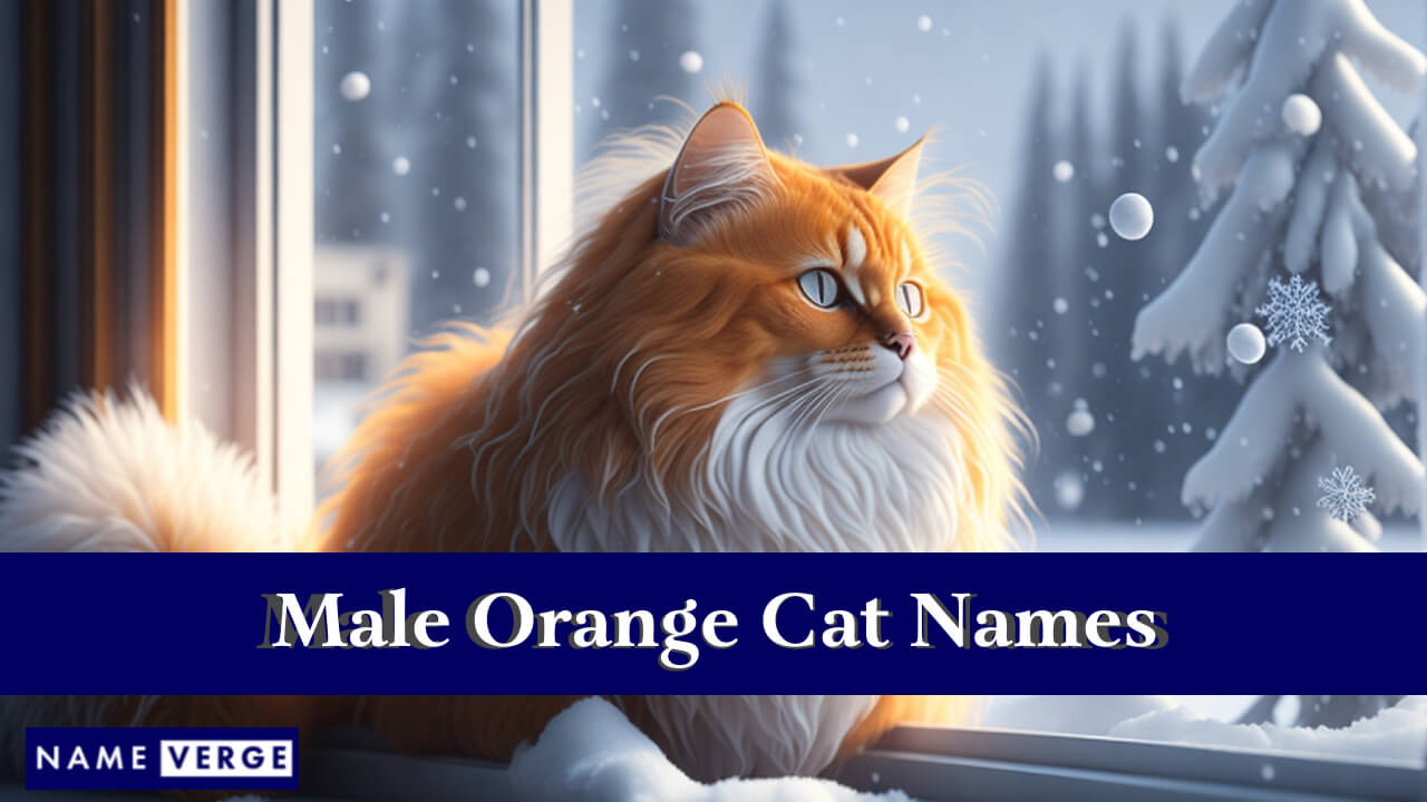 Male Orange Cat Names