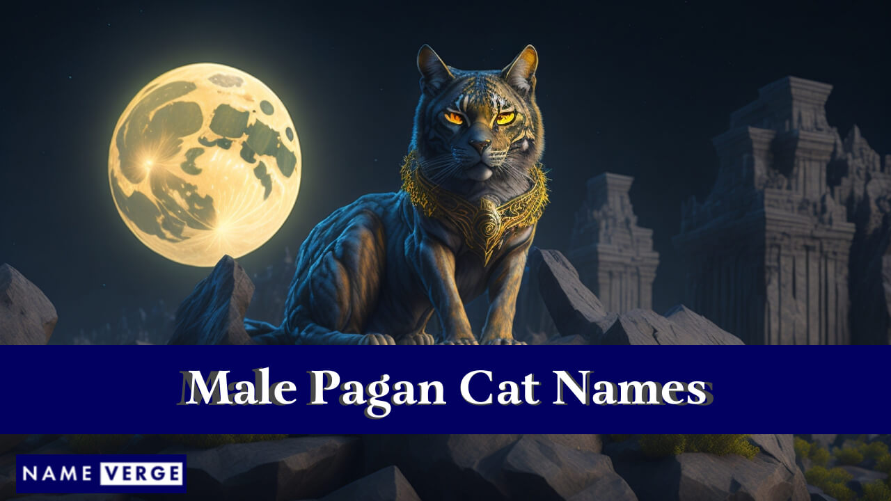 Male Pagan Cat Names