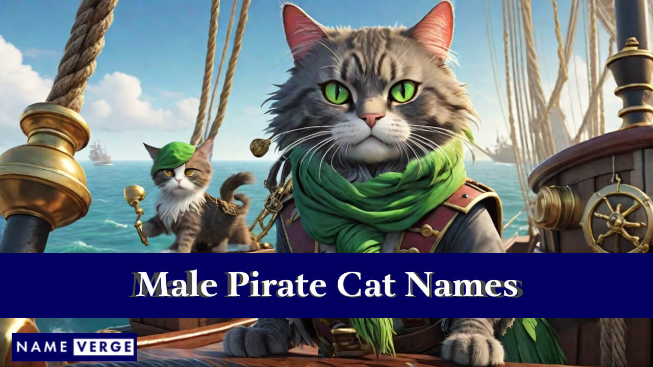 Male Pirate Cat Names