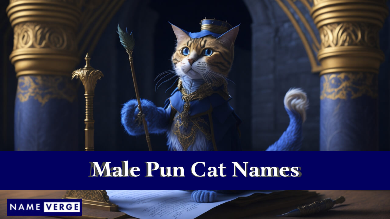 Male Pun Cat Names