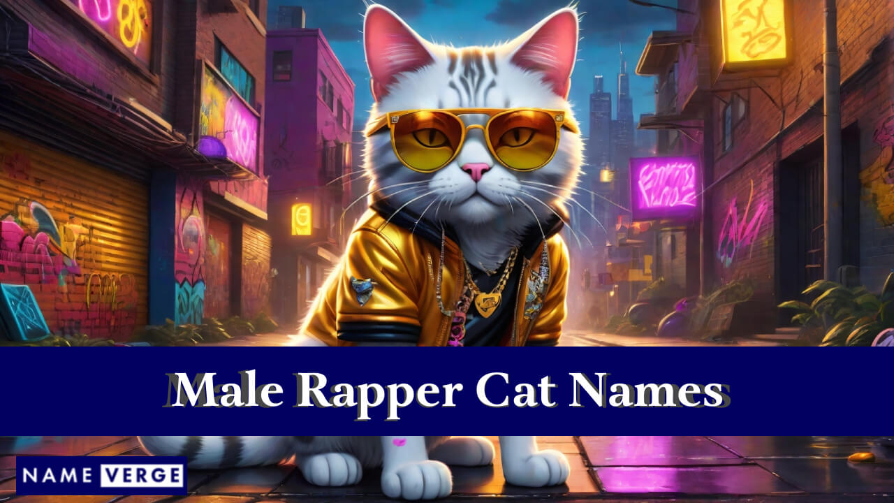 Male Rapper Cat Names