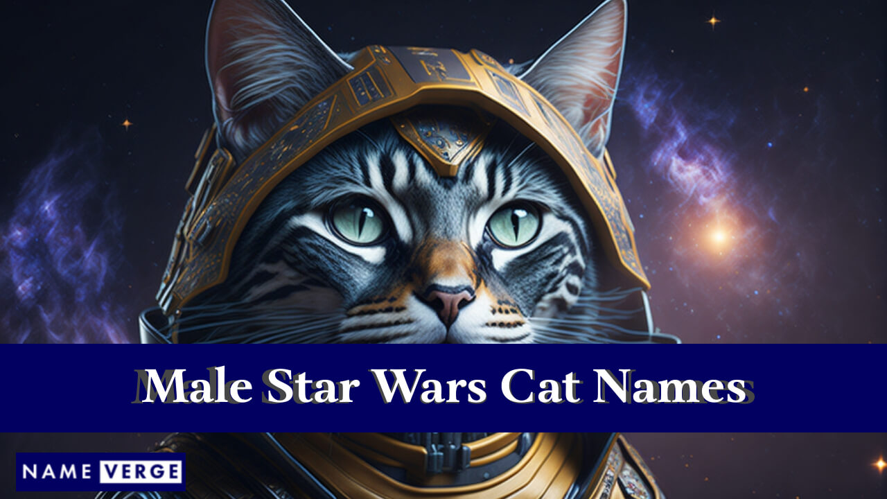 Male Star Wars Cat Names