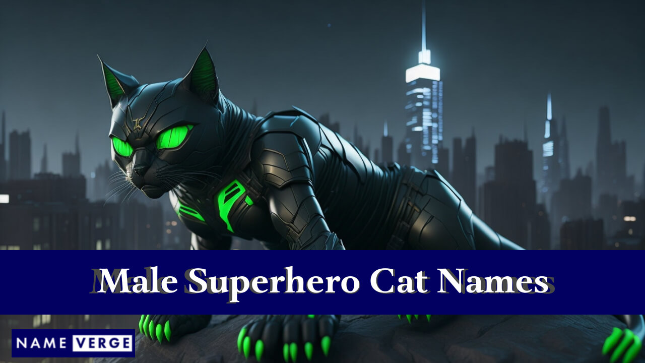 Male Superhero Cat Names