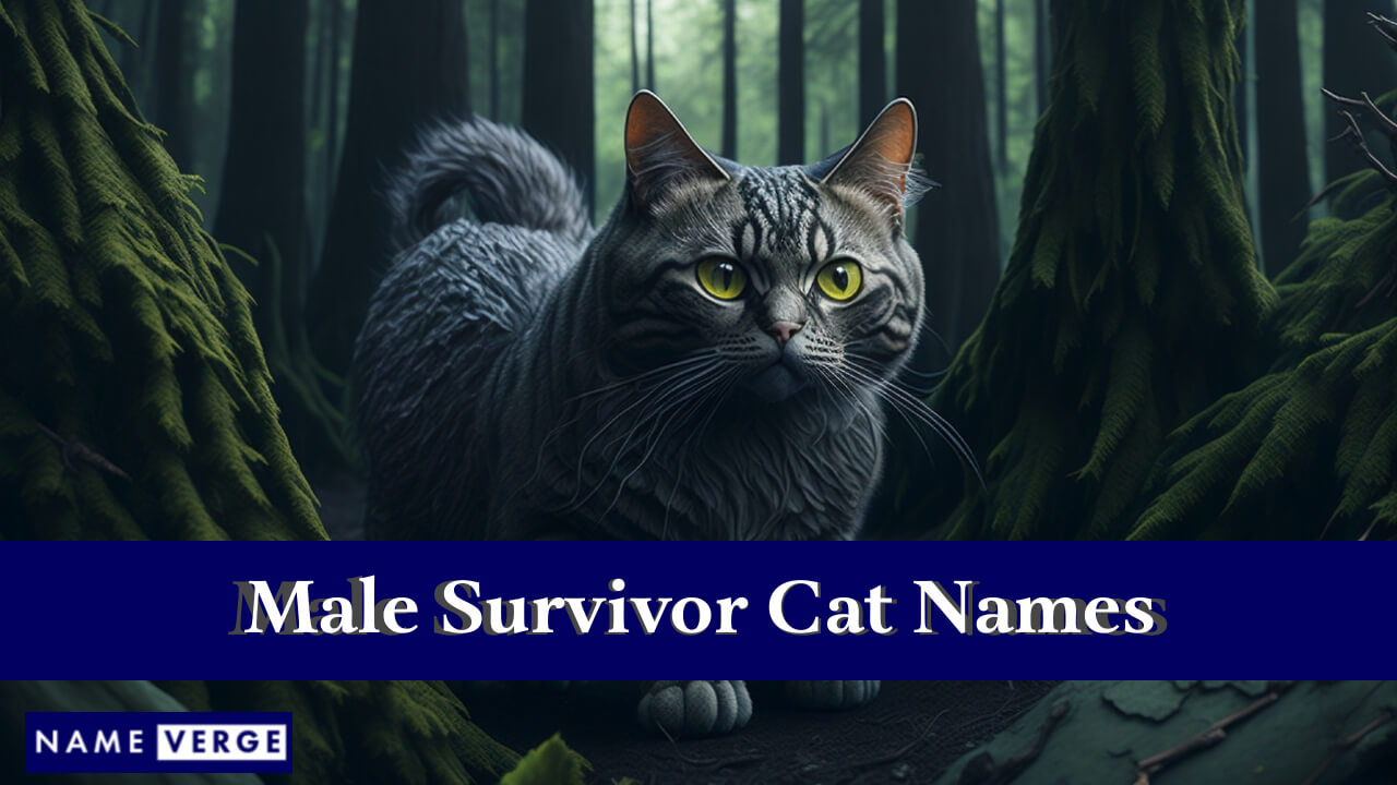 Male Survivor Cat Names
